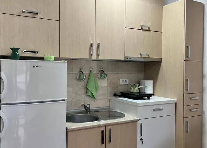 Apartman Green 아파트 Vrnjačka Banja